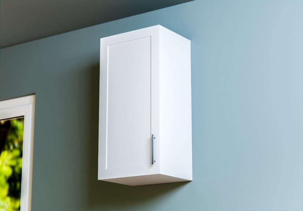 ssr cabinet - wall cabinet